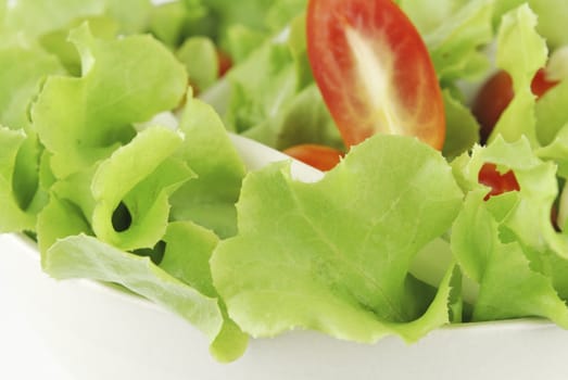 vegetable salad bowl on white background