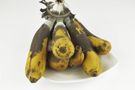 Rotten banana with fungus on white background