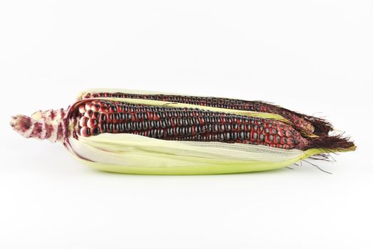 Harvested corn in red and purple colors