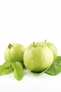 Guava (tropical fruit) on white background