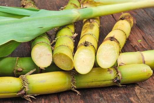 Close up Sugarcane