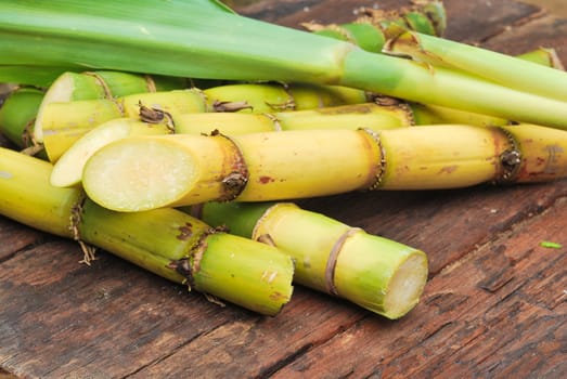 Close up Sugarcane