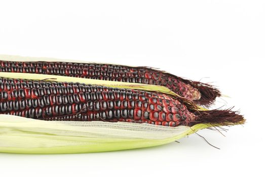 Harvested corn in red and purple colors