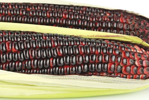 Harvested corn in red and purple colors