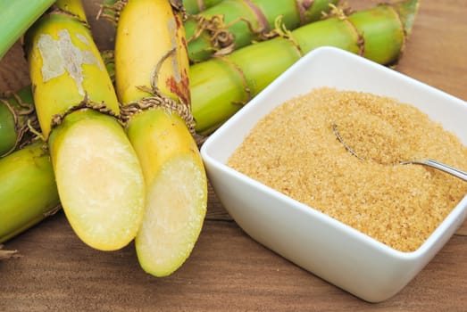 Close up Sugar and sugarcane