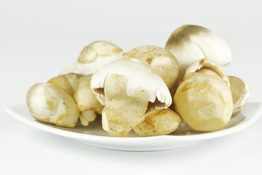 Straw mushroom  on white background