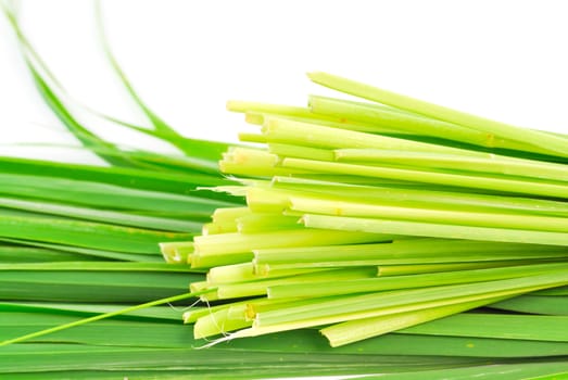 Lemon grass leaf