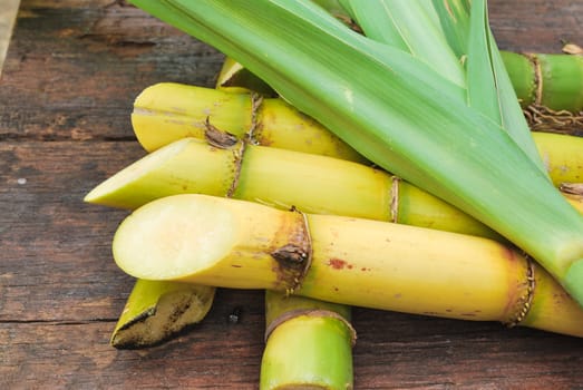 Close up Sugarcane