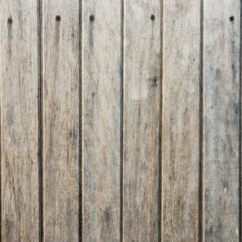 Wood plank brown and green texture background vintage