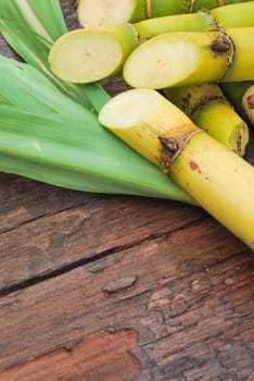 Close up Sugarcane