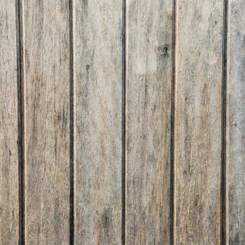 Wood plank brown and green texture background vintage