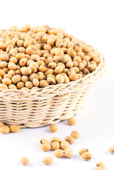 soybean