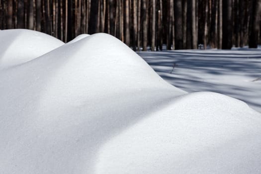 Bank of snow pile in a forest in a bright winter afternoon