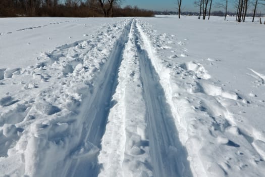 Ski trail in a forest in a beautiful sunny afternoon