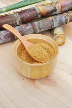 Close up brown sugar and sugarcane