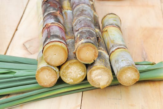 Close up brown sugar and sugarcane