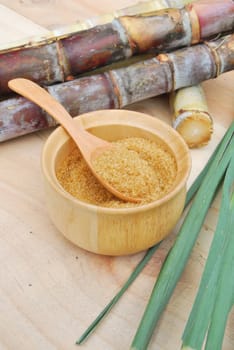 Close up brown sugar and sugarcane