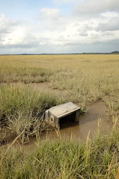 An old television set lays on mud among grass on a marsh.