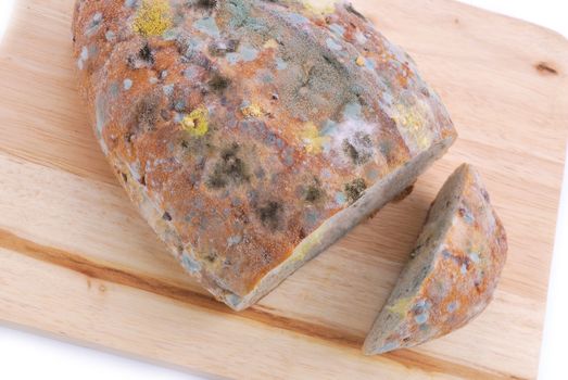 Mold on bread