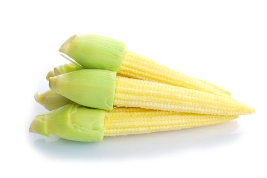Baby corn or young corn