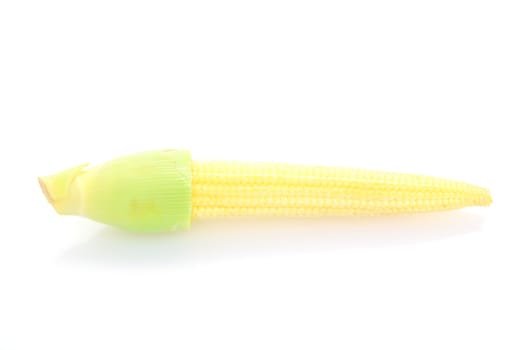 Baby corn or young corn