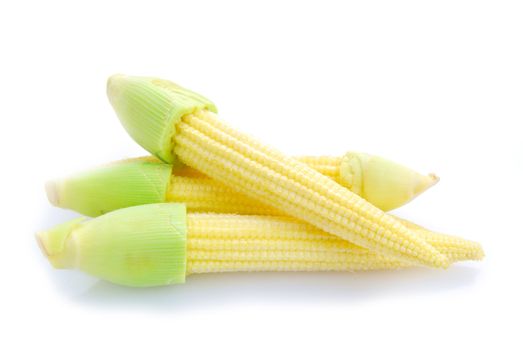 Baby corn or young corn