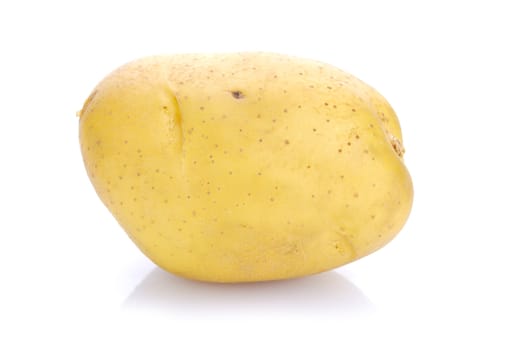 potato on white background