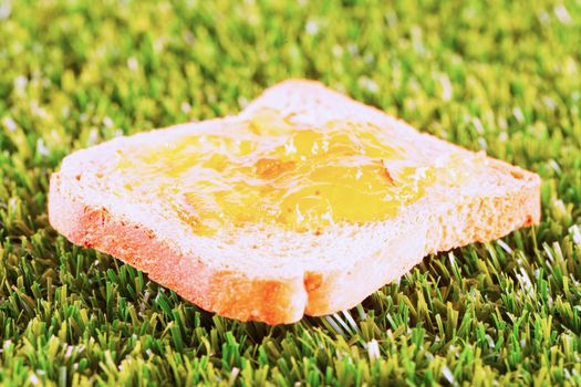 Toast with jam over a green grass field