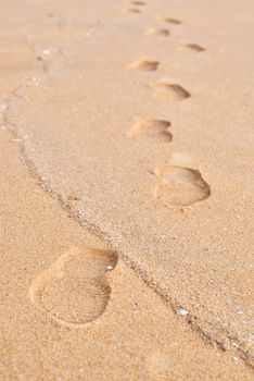 footprint on a sand