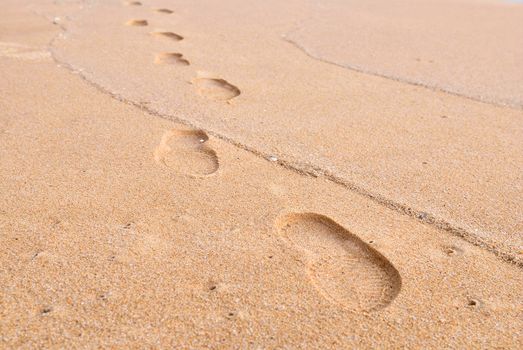 footprint on a sand