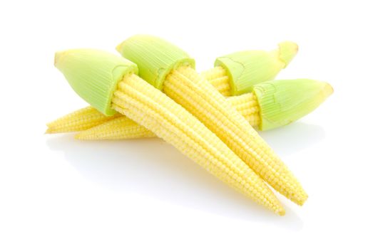 Baby corn or young corn