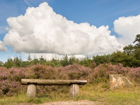 Peaceful scene of a bench standing in heathland with a dramatic cloud in the sky above