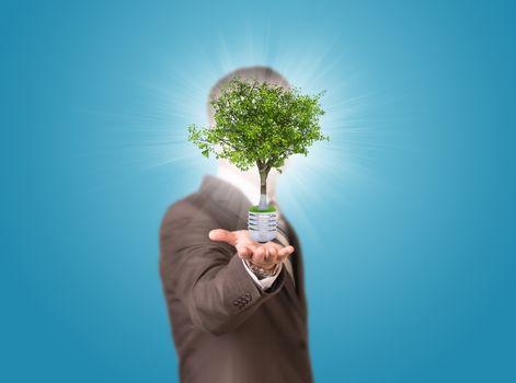 World map and businessman in a suit hold bulb with tree