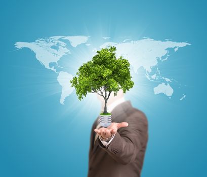World map and businessman in a suit hold bulb with tree