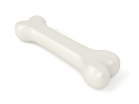 Bone on white background, 3d illustration