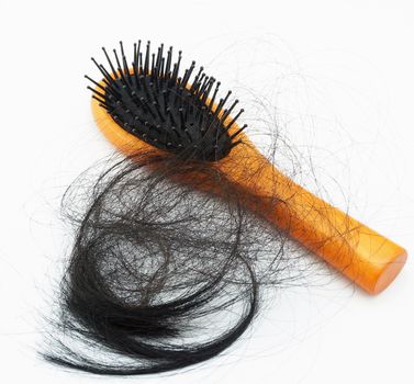 There are many hair fall out, attached to a hair brush.                              