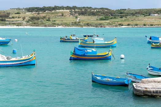 Colored fishing boats, Malta