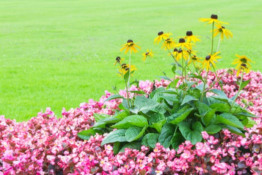 Floral angle wallpaper with pink and yellow flowers on the fresh green sward and free copy-space for your text