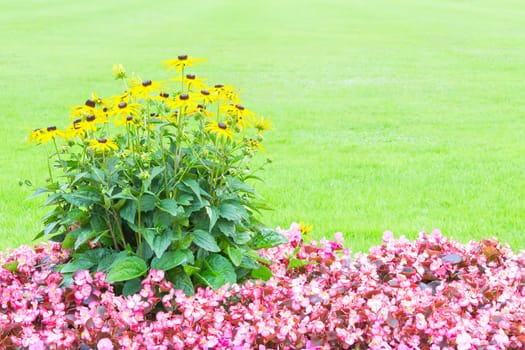 Floral background with yellow and pink flowers against fresh green grass and free copyspace area for text