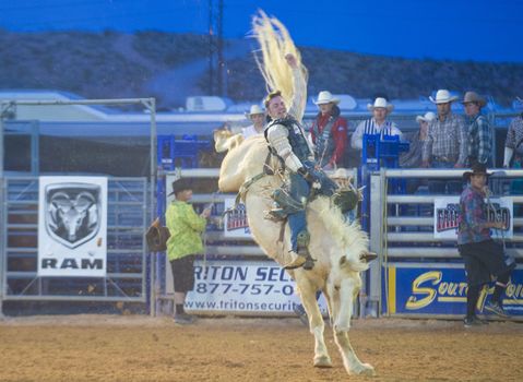 LOGANDALE , NEVADA - APRIL 10 : Cowboy Participating in a Bucking Horse Competition at the Clark County Fair and Rodeo a Professional Rodeo held in Logandale Nevada , USA on April 10 2014 