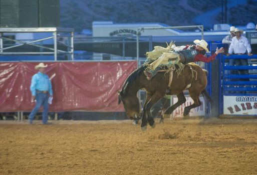 LOGANDALE , NEVADA - APRIL 10 : Cowboy Participating in a Bucking Horse Competition at the Clark County Fair and Rodeo a Professional Rodeo held in Logandale Nevada , USA on April 10 2014 