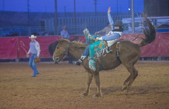 LOGANDALE , NEVADA - APRIL 10 : Cowboy Participant in a Bucking Horse Competition at the Clark County Fair and Rodeo a Professional Rodeo held in Logandale Nevada , USA on April 10 2014 