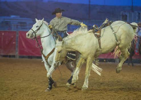 LOGANDALE , NEVADA - APRIL 10 : Cowboy Participating in a Bucking Horse Competition at the Clark County Fair and Rodeo a Professional Rodeo held in Logandale Nevada , USA on April 10 2014 