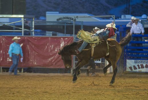 LOGANDALE , NEVADA - APRIL 10 : Cowboy Participating in a Bucking Horse Competition at the Clark County Fair and Rodeo a Professional Rodeo held in Logandale Nevada , USA on April 10 2014 