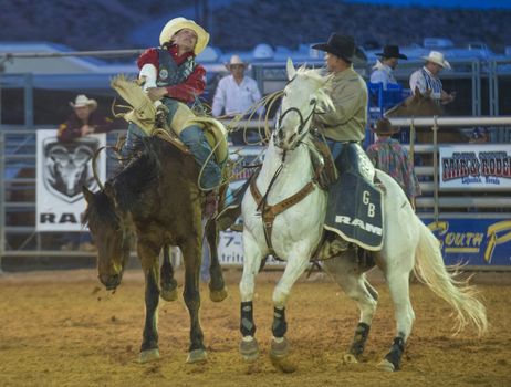 LOGANDALE , NEVADA - APRIL 10 : Cowboy Participating in a Bucking Horse Competition at the Clark County Fair and Rodeo a Professional Rodeo held in Logandale Nevada , USA on April 10 2014 