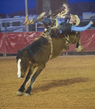 LOGANDALE , NEVADA - APRIL 10 : Cowboy Participating in a Bucking Horse Competition at the Clark County Fair and Rodeo a Professional Rodeo held in Logandale Nevada , USA on April 10 2014 