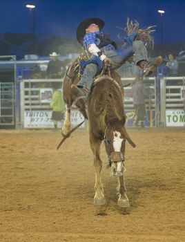 LOGANDALE , NEVADA - APRIL 10 : Cowboy Participating in a Bucking Horse Competition at the Clark County Fair and Rodeo a Professional Rodeo held in Logandale Nevada , USA on April 10 2014 