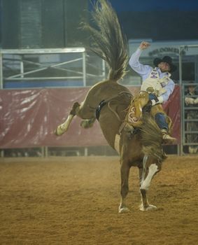 LOGANDALE , NEVADA - APRIL 10 : Cowboy Participating in a Bucking Horse Competition at the Clark County Fair and Rodeo a Professional Rodeo held in Logandale Nevada , USA on April 10 2014 