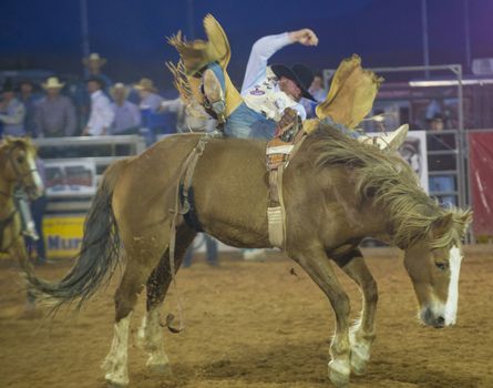 LOGANDALE , NEVADA - APRIL 10 : Cowboy Participating in a Bucking Horse Competition at the Clark County Fair and Rodeo a Professional Rodeo held in Logandale Nevada , USA on April 10 2014 