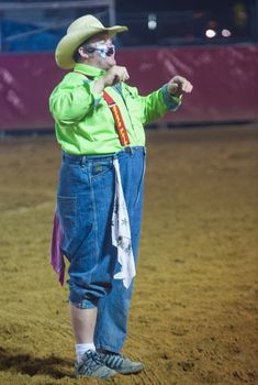 LOGANDALE , NEVADA - APRIL 10 : Rodeo Clown performing in the Clark County Fair and Rodeo a Professional Rodeo held in  Logandale Nevada , USA on April 10 2014 